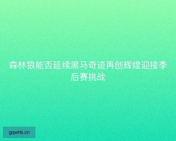 森林狼能否延续黑马奇迹再创辉煌迎接季后赛挑战
