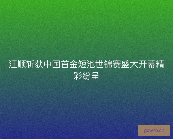 汪顺斩获中国首金短池世锦赛盛大开幕精彩纷呈