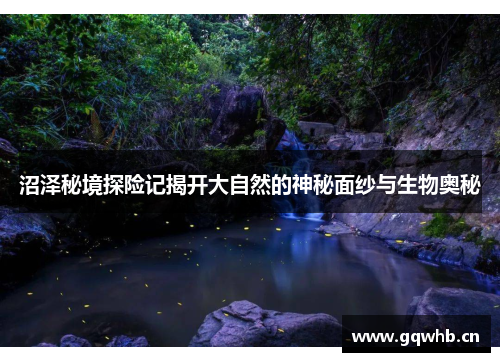 沼泽秘境探险记揭开大自然的神秘面纱与生物奥秘